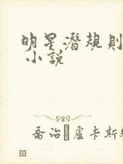 明星潜规则之皇 小说