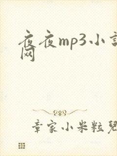 夜夜mp3小说网