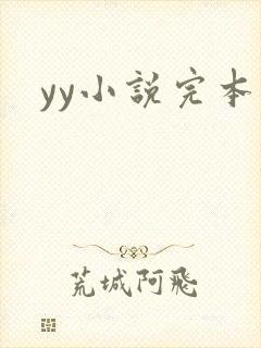yy小说完本