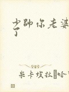 少帅你老婆又跑了