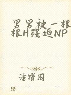 男男被一根又一根H强迫NP