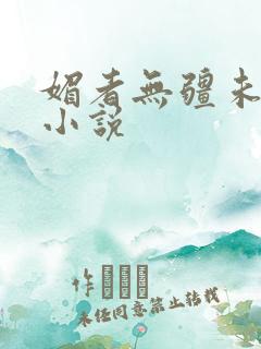 媚者无疆未删减小说
