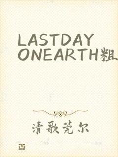 LASTDAYONEARTH粗暴