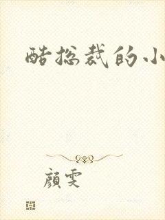 酷总裁的小女佣