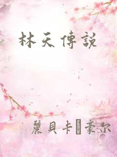 林天传说