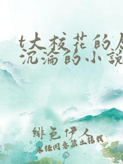 t大校花的屈辱沉沦的小说