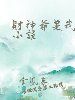 财神爷是我老板小说
