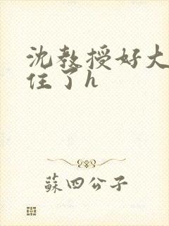 沈教授好大含不住了h