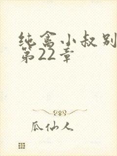 纯禽小叔别太猛第22章
