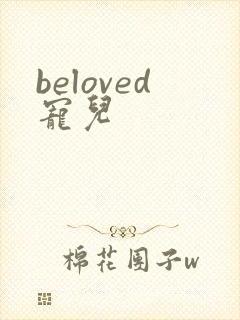 beloved宠儿