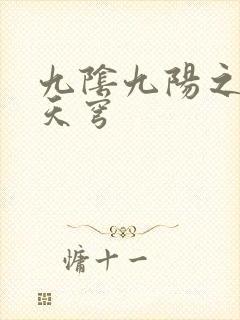 九阴九阳之武战天穹