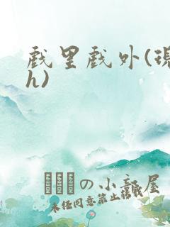 戏里戏外(现场h)