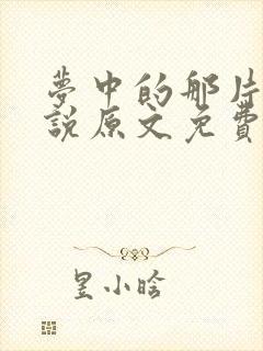 梦中的那片海小说原文免费阅读