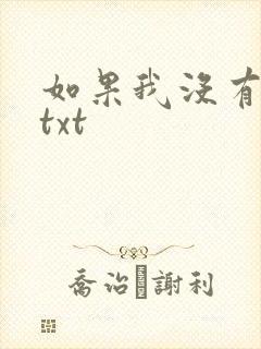 如果我没有爱过txt