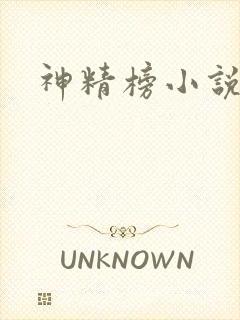 神精榜小说