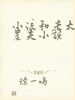 小流和老太69农夫小说