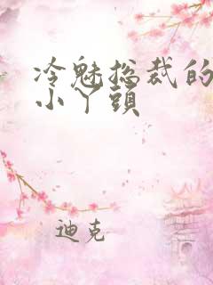 冷魅总裁的纯纯小丫头