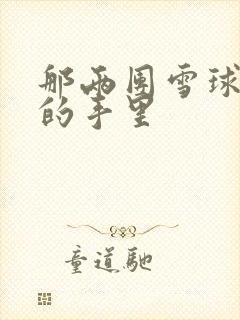 那两团雪球在他的手里