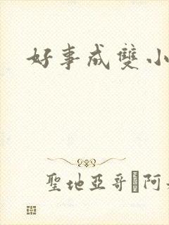 好事成双小说