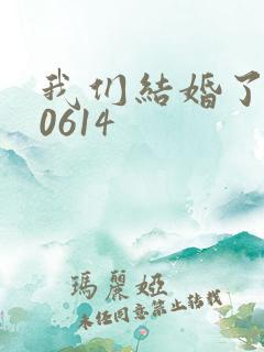 我们结婚了130614