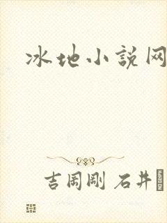 冰地小说网