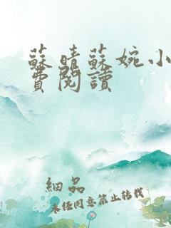 苏晴苏婉小说免费阅读