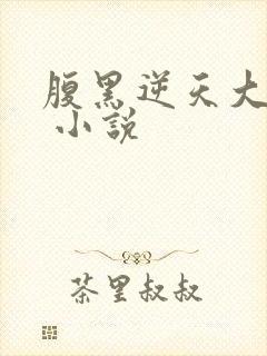 腹黑逆天大小姐 小说