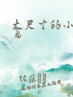 大尺寸的小说短篇