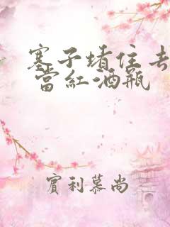 塞子堵住去上学 当红酒瓶