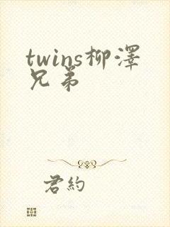 twins柳泽兄弟