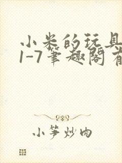 小米的玩具日记1-7笔趣阁有声