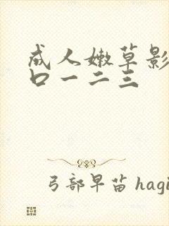 成人嫩草影院入口一二三