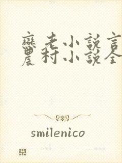 恋老小说言情网农村小说全文阅读