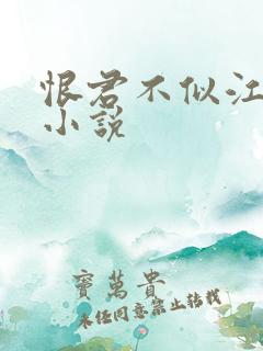 恨君不似江楼月小说