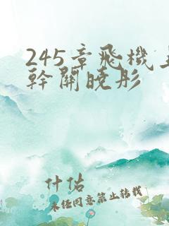 245章飞机上干关晓彤