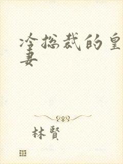 冷总裁的皇后暖妻