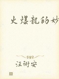 火爆龙的妙管家