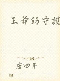 王爷的守护男妃