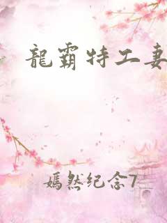 龙霸特工妻