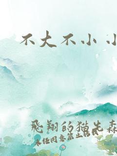 不大不小 小说