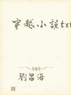 穿越小说txt