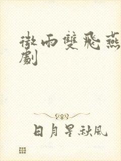 微雨双飞燕电视剧