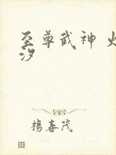 至尊武神 火龙汐