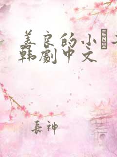 善良的小峓子2韩剧中文