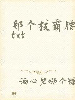 那个校霸腰好软txt