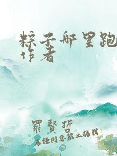 粽子哪里跑小说作者