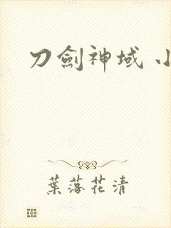 刀剑神域 小说