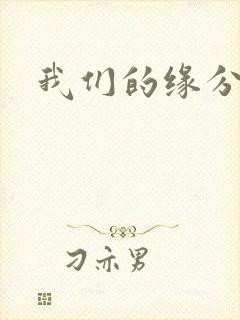 我们的缘分小说