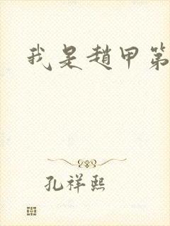 我是赵甲第小说