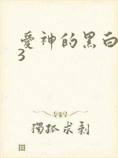 爱神的黑白羽翼3